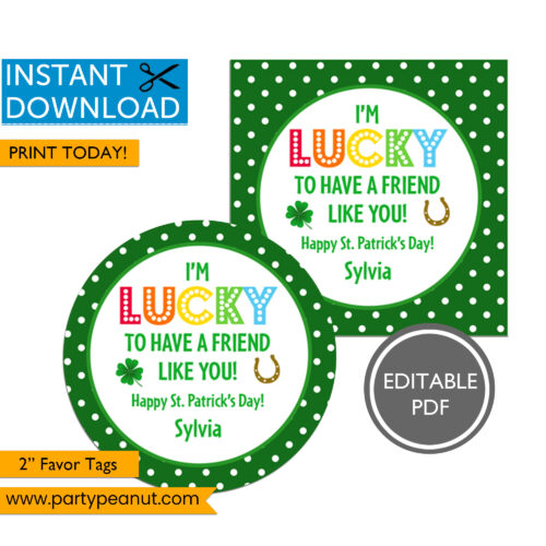 Lucky To Have A Friend St Patrick's Day Tags