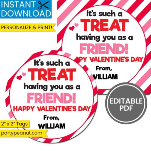 Treat Having You As Friend Valentines Day Gift Tags