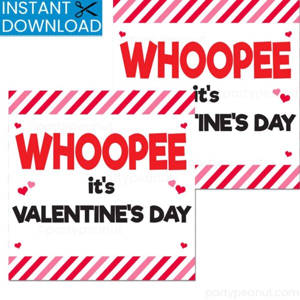 Whoopee Its Valentines Day Gift Tags - Party Peanut