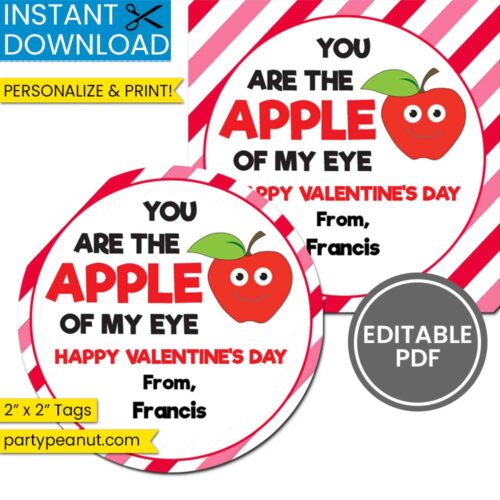 Apple Of My Eye Valentines Day Gift Tags